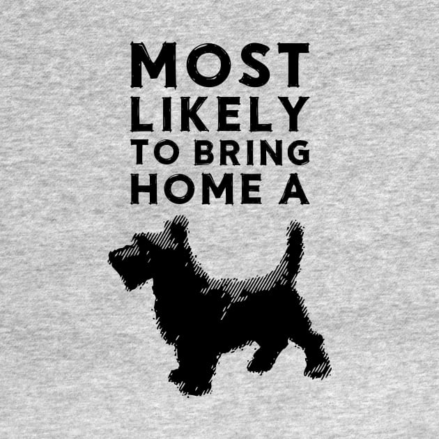 Most likely to bring home a scottish terrier (scotty) by chapter2